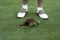 A huge divot