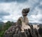 Huge dragon statue at mountain top. Ninh Binh. Vietnam