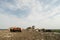 Huge dump of big city. Waste sorting on landfill. Truck and tractor. Preparing for recycling.