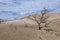 Huge dunes of the desert.