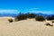 Huge dunes of the desert. Fine place for photographers and travelers. Beautiful structures of sandy barkhans