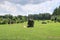 Huge erratic boulders in the megalith park. Big stones lie in the green grass. There are green trees around. Silvarium, a forest p