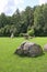 Huge erratic boulders in the megalith park. Big stones lie in the green grass. There are green trees around. Silvarium, a forest p