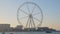 Huge Ferris wheel in Dubai in twilight, seagulls are flying in foreground, boats are floating