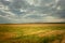 Huge field with grain and cloudy sky, Staw, Poland