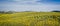 Huge field of Tuscan sunflowers