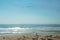 A huge flock of birds of swallows flying over the shore of the Atlantic Ocean. USA. Maine.