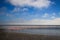 A huge flock of elegant pink flamingos looking for mollusks in the cold waters of the Atlantic Ocean