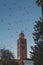 Huge flock of storks flying around the minaret of the Koutoubia mosque in the medina of Marrakech, Morocco. Captured