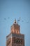 Huge flock of storks flying around the minaret of the Koutoubia mosque in the medina of Marrakech, Morocco. Captured