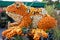 Huge frog prince outdoor autumn decoration made of different yellow , white and orange pumpkins.