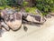 Huge granite rocks in Anse Bois de Rose