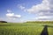 Huge green meadow and tree shadow. Cloudy blue sky