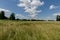 A huge, green overgrown meadow in the countryside