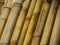 Huge group of bamboo rods close up