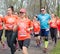 Huge group of women in orange t-shirts with numbers  and one man in blue t-shirt runs marathon in the park in spring. Wroclaw,