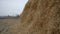 Huge haystack lying on the ground