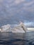 A huge high breakaway glacier drifts in the southern ocean off the coast of Antarctica at sunset, the Antarctic