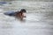 Huge hippo yawns in water