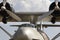 Huge hydroplane wings and propeller engines with blue sky background