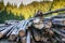 Huge illegal cutted pine logs near roadside in the Carpathian mountains in Romania