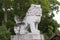 Huge Komainu dog-lion like guardian stone statue Izanagi Shrine
