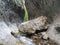 Huge limestone boulder in Cheile Rametului river