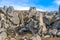 Huge limestone boulders, megalith rock formations in New Zealand