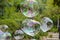 Huge lots of soap bubbles multicolored bright reflections water summer bokeh