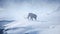 A huge mammoth is walking along a snow-covered glacier. Huge high glaciers in winter natural conditions. Arctic winter