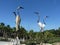 Huge metal sculpture of herons in park