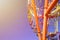 Huge modern colorful bright ferris wheel in an amusement park