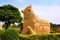 Huge Nandi bull at the entrance, Brihadisvara Temple, Gangaikondacholapuram, Tamil Nadu