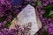 Huge natural Citrine Cathedral Quartz from Brazil surrounded by purple lilac flower.