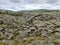 Huge old lava fields overgrown with Icelandic moss in an open-air