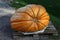 Huge orange pumpkin at farm market or seasonal festival