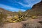 A huge Organ Pipe Cactus dies inside Organ Pipe Cactus National Monument