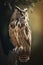 A huge owl sitting in the dark forest
