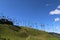 The huge palm trees of Cocora Valley in Colombia