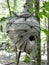 Huge Paper Wasp Nest