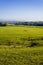 A huge pasture with herd of sheep