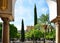 Huge patio of the Mosque-Cathedral in Cordoba