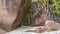 Huge picturesque boulders on a tropical island.