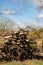 Huge pile of trunks, dead fir to produce biomass, deforestation scene in rural landscape