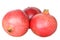 Huge pomegranate