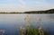 A huge pond surrounded by forest