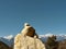 Huge prayer stone with meili snow mountain in background in china`s yunnan province