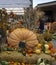 Huge pumpkin display