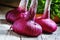 Huge red onion, vintage wooden background, selective focus