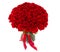 huge red roses bouquet isolated on white background. luxury Bouquet of one hundred dark ruby roses for valentines day.
